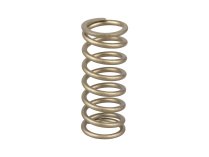 Установочные пружины Siemens