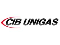 Электродвигатель CIB Unigas 71-2P-B3/B14 550 Вт