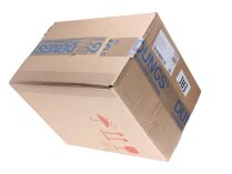 Двойной электромагнитный клапан Dungs DMV-DLE 520/11