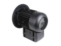 Электродвигатель Weishaupt WM-D112/140-2/3K0