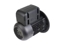 Электродвигатель Weishaupt WM-D112/140-2/3K0