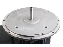 Электродвигатель Weishaupt WM-D112/140-2/3K0