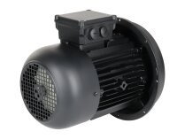 Электродвигатель Weishaupt W-D112/140-2/3K0, арт: 25171707010