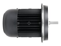 Электродвигатель Weishaupt W-D112/140-2/3K0, арт: 25171707010