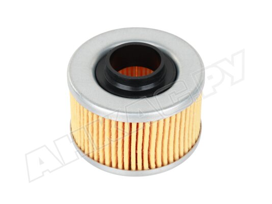 Фильтрующий элемент Giuliani Anello 603000015P, арт: 014.4050.001