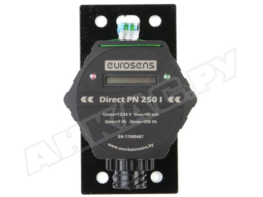 Расходомер счетчик Eurosens Direct PN250.05 I Мехатроника