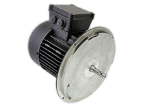 Электродвигатель Weishaupt W-D90/110-2/1K5, арт: 25151307010.
