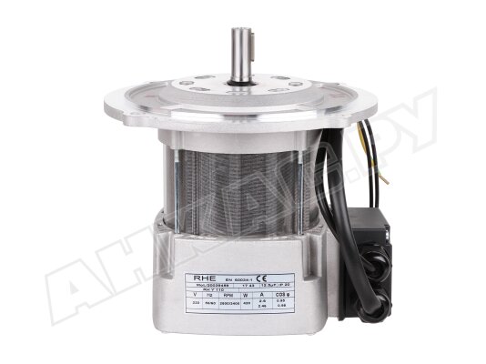 Электродвигатель Riello RH Y 110, арт: 3013751