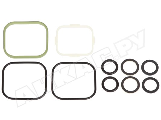 Комплект уплотнений Kromschroder 74921988