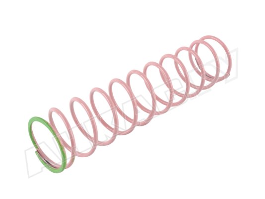 Пружина регулятора давления Dungs 229872
