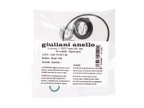 Ремкомплект фильтра Giuliani Anello 3200, арт: 014.0073.001