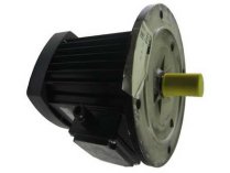 Электродвигатель Baltur WBG-200H