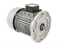 Электродвигатель Baltur 0005010278