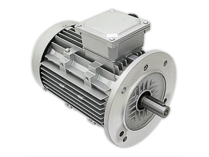 Электродвигатель Baltur 0005010251