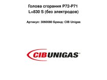 Голова сгорания P72-P71 L=830 S (без электродов)