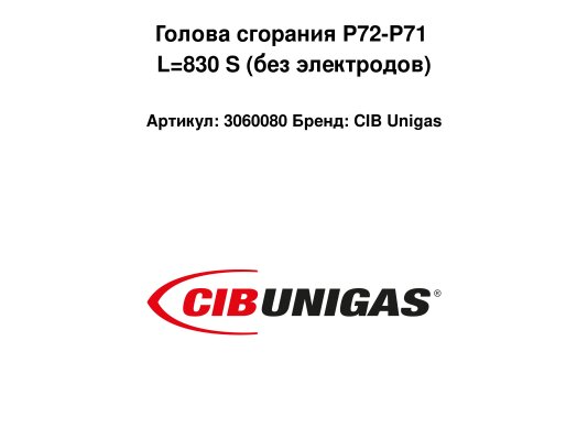Голова сгорания P72-P71 L=830 S (без электродов)