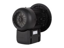 Электродвигатель Weishaupt WM-D112/140-2/3K5 21520407300 Альт. арт: We21520407300.