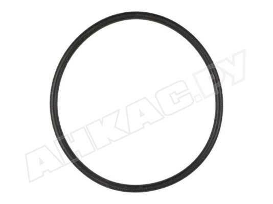 Уплотнительное кольцо Weishaupt 50 x 2.5 мм, арт: 445526.