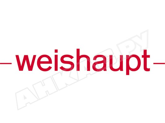 Электродвигатель Weishaupt W-D112/170-2/5K5, арт: 21841407010