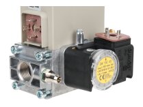 Газовая рампа Ecoflam GT-D1-MBDLE403-RP15-40-120, арт: 3123944