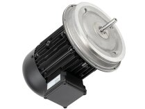 Электродвигатель Weishaupt W-D112/170-2/5K0, арт: 25181707010.