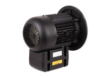 Электродвигатель Weishaupt WM-D112/140-2/3K5, арт: 21520407030.