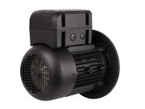 Электродвигатель Weishaupt WM-D112/140-2/3K5, арт: 21520407030.