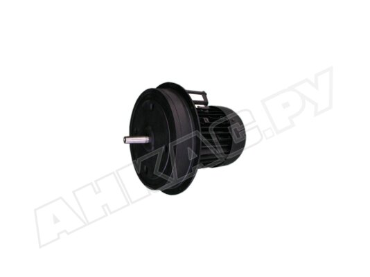 Электродвигатель Weishaupt W-D160/240-2/18K0, арт: 21871407010.