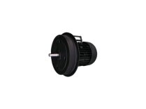 Электродвигатель Weishaupt W-D160/240-2/18K0, арт: 21871407010.