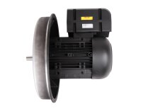 Электродвигатель Weishaupt W-D160/240-2/22K0