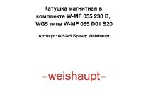 Катушка магнитная в комплекте W-MF 055 230 В, WG5 типа W-MF 055 D01 S20