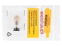 Форсунка Weishaupt K3 S2 45-50° V, арт: 602806
