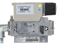 Газовая рампа Ecoflam GT-D1-MBDLE407-RP20-MAXGAS170-250 , арт: 3123525