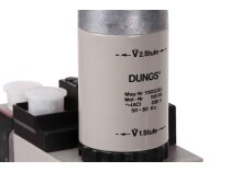 Газовая рампа Ecoflam GT-D2-MBZRDLE407-RP20-MAXGAS170-250, арт: 3123961