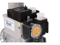 Газовая рампа Ecoflam GT-D2-MBZRDLE407-RP20-MAXGAS170-250, арт: 3123961