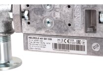 Газовая рампа Ecoflam GT-D2-MBZRDLE407-RP20-MAXGAS170-250, арт: 3123961