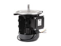 Электродвигатель RUF DYD-450