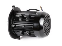 Электродвигатель RUF 0.45KW/230V/50HZ.
