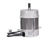 Электродвигатель RUF BW-63-250, RU3008506