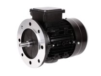 Электродвигатель RUF RU3003967