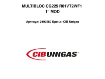 MULTIBLOC CG225 R01VT2WF1 1" MOD
