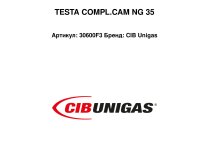 Головка сгорания CIB Unigas, 30600F3