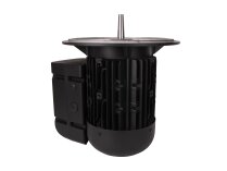 Электродвигатель Weishaupt WM-D132/170-2/7K5, арт: 21531307210.