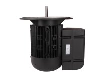 Электродвигатель Weishaupt WM-D132/170-2/7K5, арт: 21531307210.