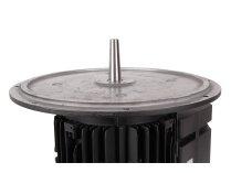 Электродвигатель Weishaupt WM-D132/170-2/7K5, арт: 21531307210.