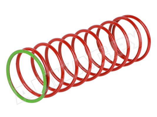 Пружина красная Dungs 25-55 мбар, арт: 229887
