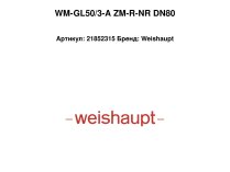 Газодизельная горелка Weishaupt WM-GL50/3-A ZM-R-NR DN80