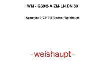 WM - G30/2-A ZM-LN DN 80