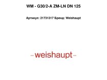 WM - G30/2-A ZM-LN DN 125
