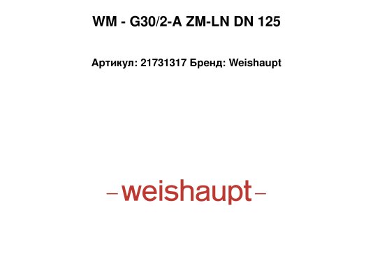 WM - G30/2-A ZM-LN DN 125